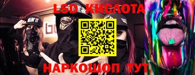 прущие грибы Шахты