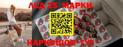 прущие грибы Шахты