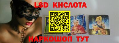 прущие грибы Шахты