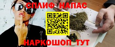 прущие грибы Шахты